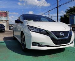 Nissan Leaf ZE-1 2018 White/Blue Roof "G" 40kwh