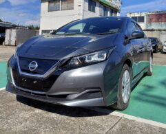 Nissan Leaf ZE-1 2018 "X" Grey 40kwh